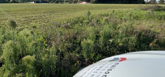 Terrain à bâtir à Champtoceaux, Pays de la Loire