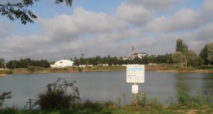 Le Louroux-Béconnais Terrain à bâtir - 2355257-11353annonce120251203He6ol.jpeg Maisons Bernard Jambert