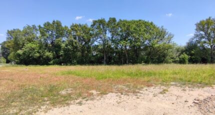 Brissac-Quincé Maison neuve - 2329320-10544annonce120251105Cqbzh.jpeg Maisons Bernard Jambert