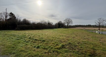 La Membrolle-sur-Longuenée Maison neuve - 2340316-10544annonce120251117a55TG.jpeg Maisons Bernard Jambert