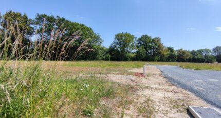 La Possonnière Maison neuve - 2326176-10544annonce120251103gEQre.jpeg Maisons Bernard Jambert