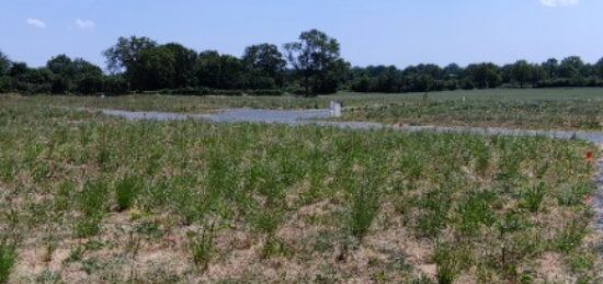 Terrain à bâtir à La Membrolle-sur-Longuenée, Pays de la Loire