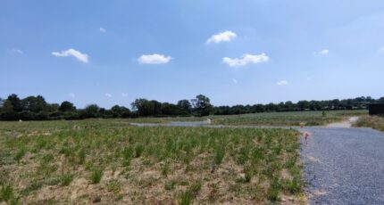 Juigné-sur-Loire Maison neuve - 2397937-10544annonce120260119JXchp.jpeg Maisons Bernard Jambert