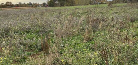 Terrain à bâtir à Brion, Pays de la Loire