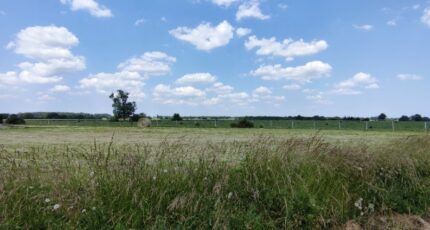 Baugé Maison neuve - 2397891-10544annonce120260119a4Cbs.jpeg Maisons Bernard Jambert