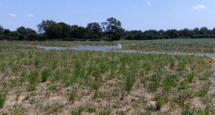 Jarzé Maison neuve - 2372463-10544annonce120251218ktbd2.jpeg Maisons Bernard Jambert