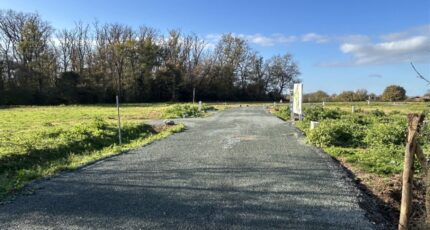 Tiercé Maison neuve - 2437530-936annonce120260223JEK4N.jpeg Maisons Bernard Jambert