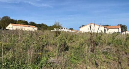 Villedieu-la-Blouère Maison neuve - 2446579-11353annonce1202603034li8a.jpeg Maisons Bernard Jambert