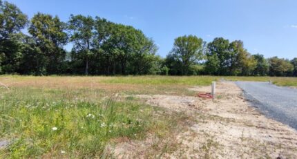 Daumeray Terrain à bâtir - 2584884-10544annonce120260717yz52z.jpeg Maisons Bernard Jambert