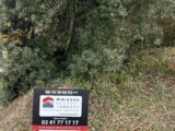 Maison à construire à Jarzé (49140) 2571172-10544annonce120260702f9bkQ.jpeg Maisons Bernard Jambert