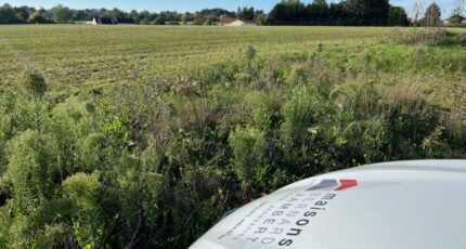 Beaulieu-sur-Layon Terrain à bâtir - 2576058-11896annonce120260707lvyx3.jpeg Maisons Bernard Jambert
